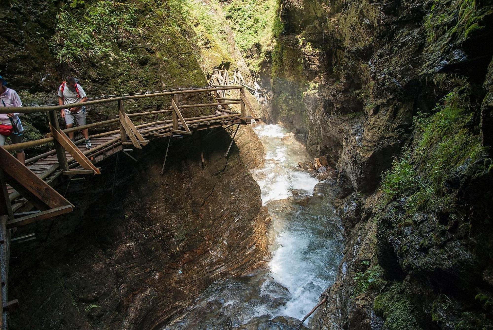 Seebrauer Erlach (Villach)