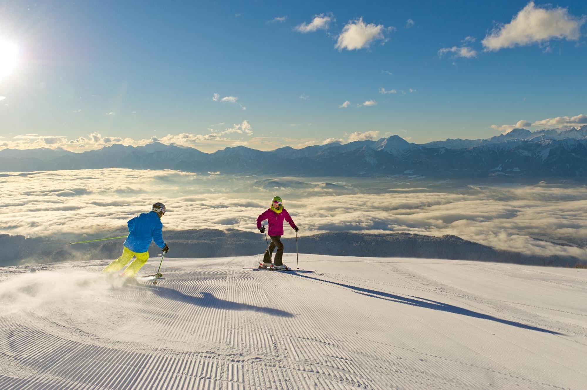 Seebrauer Erlach (Villach)