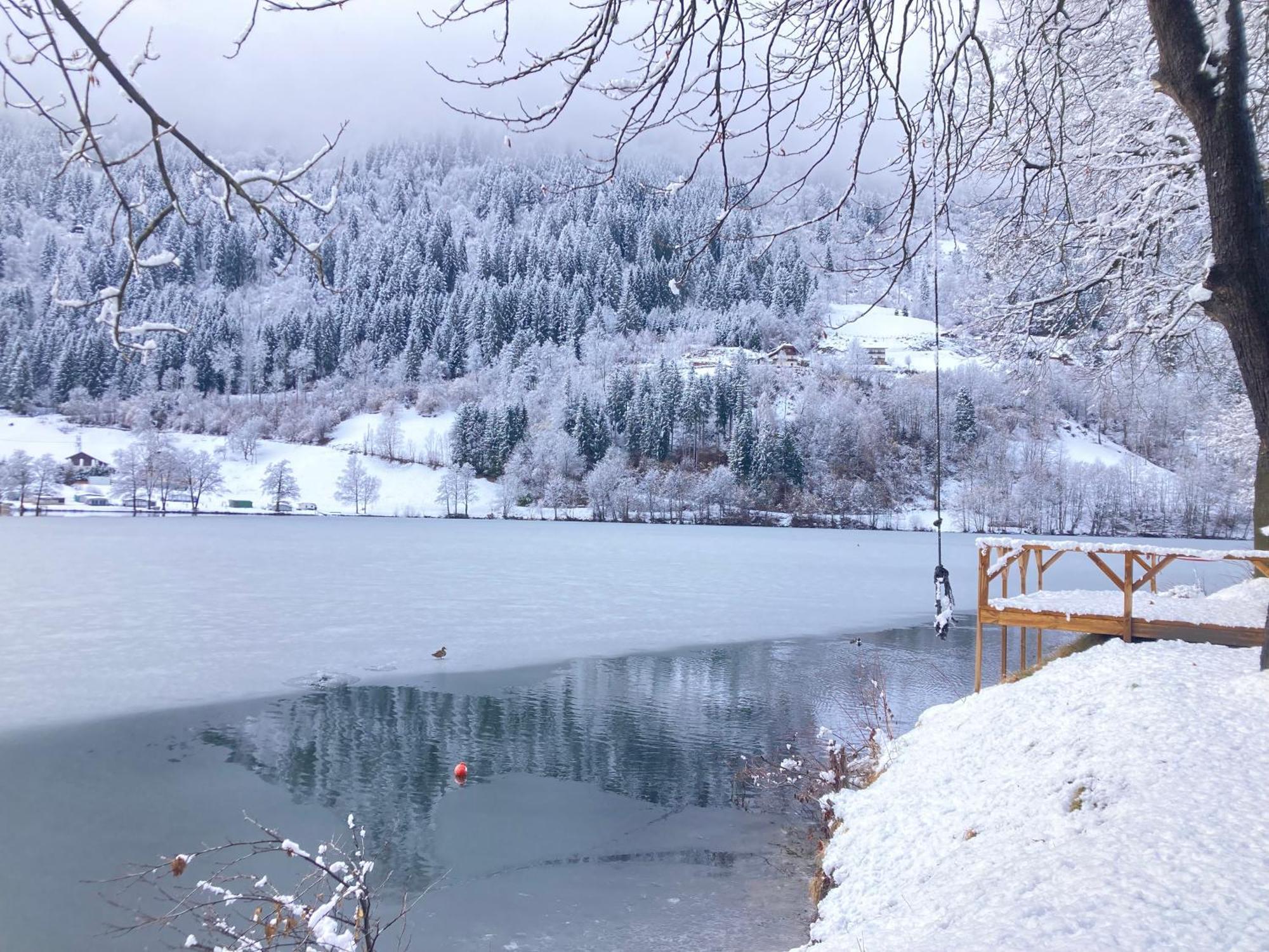 Appartement Seebrauer Erlach (Villach)